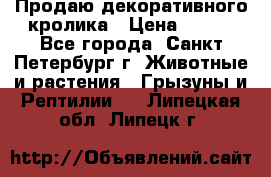 Продаю декоративного кролика › Цена ­ 500 - Все города, Санкт-Петербург г. Животные и растения » Грызуны и Рептилии   . Липецкая обл.,Липецк г.